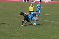 VfL Sindelfingen (B1) - Eintracht Frankfurt U17 (16.03.2019)