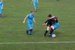 VfL Sindelfingen (B1) - Eintracht Frankfurt U17 (16.03.2019)