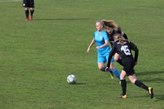 VfL Sindelfingen (B1) - Eintracht Frankfurt U17 (16.03.2019)