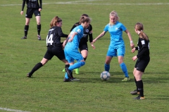 VfL Sindelfingen (B1) - Eintracht Frankfurt U17 (16.03.2019)