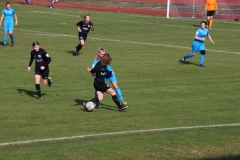 VfL Sindelfingen (B1) - Eintracht Frankfurt U17 (16.03.2019)