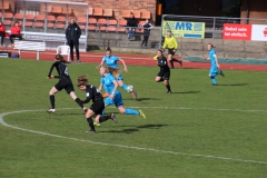 VfL Sindelfingen (B1) - Eintracht Frankfurt U17 (16.03.2019)