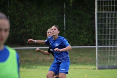 VfL Sindelfingen (B1) - FSV Hessen Wetzlar (30.09.2023)