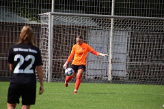 VfL Sindelfingen (B1) - FSV Hessen Wetzlar (30.09.2023)