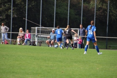 VfL Sindelfingen (B1) - FSV Hessen Wetzlar (30.09.2023)