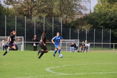 VfL Sindelfingen (B1) - FSV Hessen Wetzlar (30.09.2023)