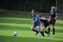 VfL Sindelfingen (B1) - FSV Hessen Wetzlar (30.09.2023)