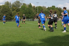 VfL Sindelfingen (B1) - FSV Hessen Wetzlar (30.09.2023)