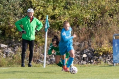 SV Alberweiler - VFL Sindelfingen (B1) (16.10.2021)