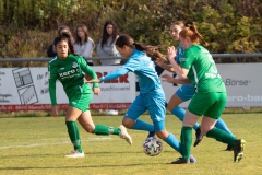 SV Alberweiler - VFL Sindelfingen (B1) (16.10.2021)