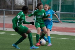 VfL Sindelfingen (B1) - SV Alberweiler (19.03.2022)