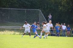 VfL Sindelfingen (B1) - TSG Hoffenheim (09.09.2023)