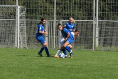 VfL Sindelfingen (B1) - TSG Hoffenheim (09.09.2023)