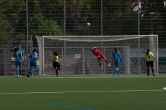 VfL Sindelfingen (B1) - TSV Crailsheim (07.05.2022)