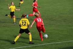 VfL Sindelfingen (B1) - TSV Crailsheim (20.10.2018)