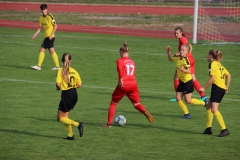 VfL Sindelfingen (B1) - TSV Crailsheim (20.10.2018)