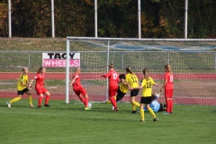 VfL Sindelfingen (B1) - TSV Crailsheim (20.10.2018)