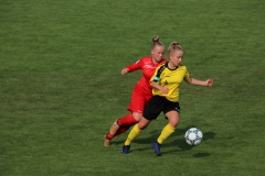 VfL Sindelfingen (B1) - TSV Crailsheim (20.10.2018)