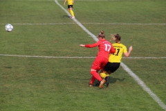 VfL Sindelfingen (B1) - TSV Crailsheim (20.10.2018)