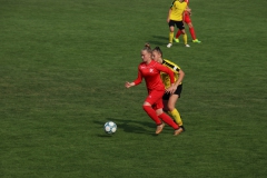 VfL Sindelfingen (B1) - TSV Crailsheim (20.10.2018)