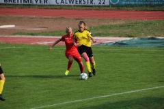 VfL Sindelfingen (B1) - TSV Crailsheim (20.10.2018)