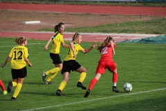 VfL Sindelfingen (B1) - TSV Crailsheim (20.10.2018)