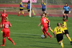 VfL Sindelfingen (B1) - TSV Crailsheim (20.10.2018)