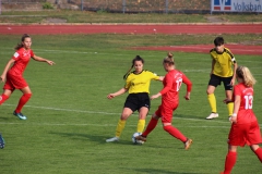 VfL Sindelfingen (B1) - TSV Crailsheim (20.10.2018)