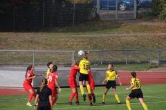 VfL Sindelfingen (B1) - TSV Crailsheim (20.10.2018)