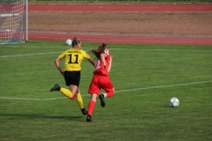 VfL Sindelfingen (B1) - TSV Crailsheim (20.10.2018)