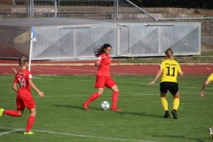 VfL Sindelfingen (B1) - TSV Crailsheim (20.10.2018)