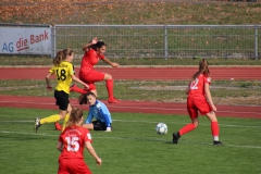 VfL Sindelfingen (B1) - TSV Crailsheim (20.10.2018)