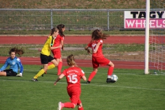 VfL Sindelfingen (B1) - TSV Crailsheim (20.10.2018)