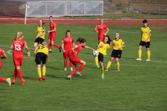 VfL Sindelfingen (B1) - TSV Crailsheim (20.10.2018)