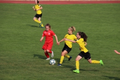 VfL Sindelfingen (B1) - TSV Crailsheim (20.10.2018)