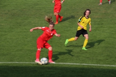 VfL Sindelfingen (B1) - TSV Crailsheim (20.10.2018)