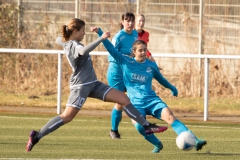 VFL Sindelfingen (B1) -  TSV Schwaben Augsburg (19.02.2022)