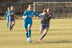 VFL Sindelfingen (B1) -  TSV Schwaben Augsburg (19.02.2022)