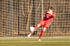 VFL Sindelfingen (B1) -  TSV Schwaben Augsburg (19.02.2022)