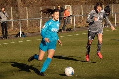 VFL Sindelfingen (B1) -  TSV Schwaben Augsburg (19.02.2022)