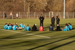 VFL Sindelfingen (B1) -  TSV Schwaben Augsburg (19.02.2022)