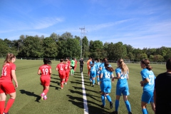 VfL Sindelfingen (B1) - VfL Sindelfingen (F1) (02.09.2023)