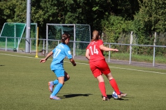 VfL Sindelfingen (B1) - VfL Sindelfingen (F1) (02.09.2023)