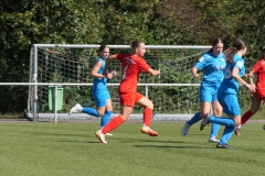 VfL Sindelfingen (B1) - VfL Sindelfingen (F1) (02.09.2023)