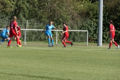 VfL Sindelfingen (B2) - 1. FC Norm. Gmünd (23.09.2023)