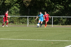 VfL Sindelfingen (B2) - 1. FC Norm. Gmünd (23.09.2023)