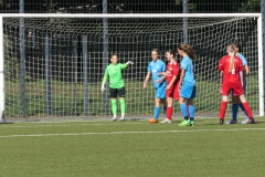 VfL Sindelfingen (B2) - 1. FC Norm. Gmünd (23.09.2023)