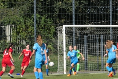 VfL Sindelfingen (B2) - 1. FC Norm. Gmünd (23.09.2023)