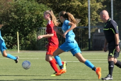 VfL Sindelfingen (B2) - 1. FC Norm. Gmünd (23.09.2023)