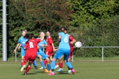 VfL Sindelfingen (B2) - 1. FC Norm. Gmünd (23.09.2023)